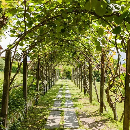 La Pergola ميناجيو